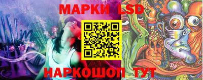 jwh Гатчина